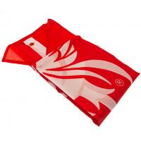 Liverpool FC Flag CC