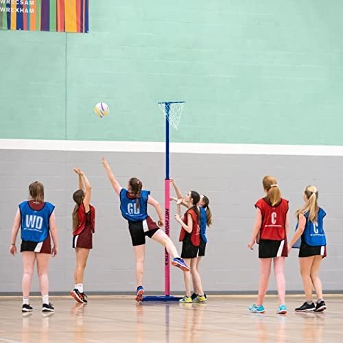 FREESTANDING NETBALL POSTS [SCHOOL STANDARD] [Colour: Blue] [Single or Pair:: Single]